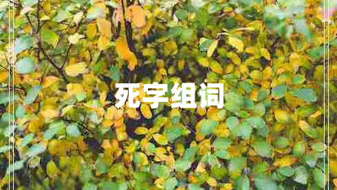 死字组词
