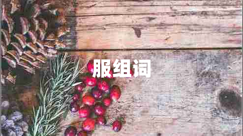 服组词