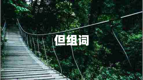 但组词