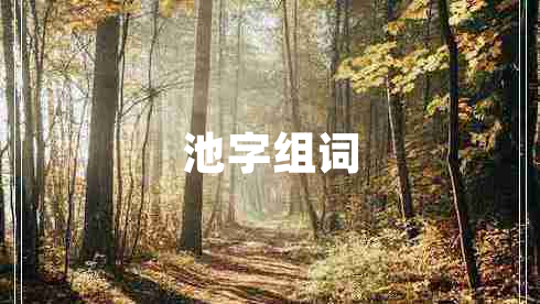 池字组词