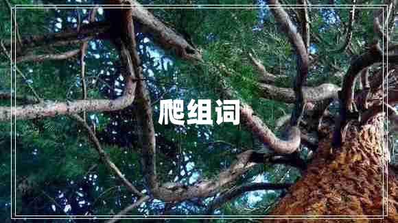 爬组词