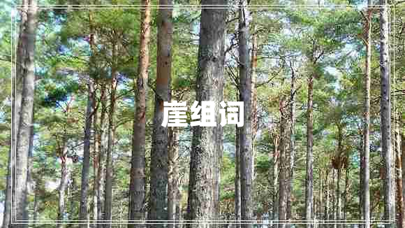 崖组词