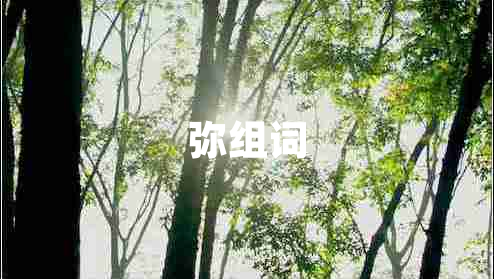 弥组词