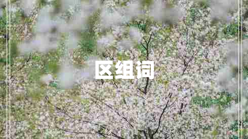 区组词