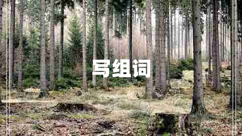 写组词