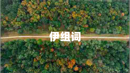 伊组词