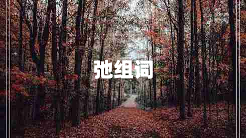 弛组词