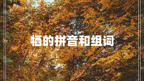 牺的拼音和组词 牺的拼音和组词