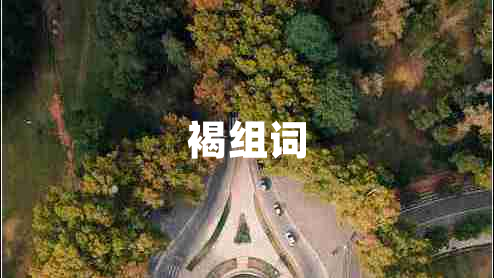 褐组词