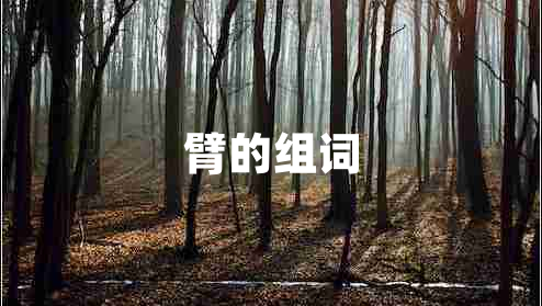 臂的组词