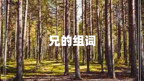 兄的组词