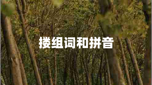 搂组词和拼音