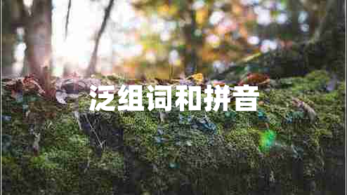 泛组词和拼音