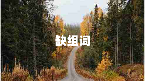 缺组词