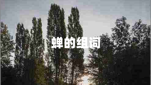 蝉的组词