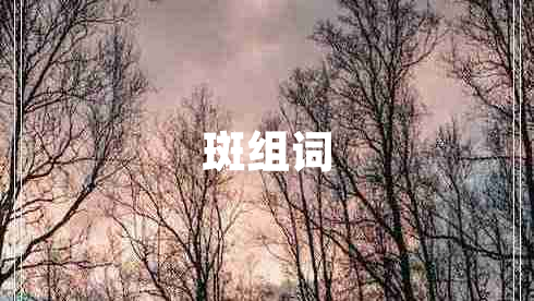 斑组词