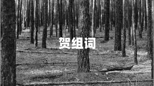 贺组词