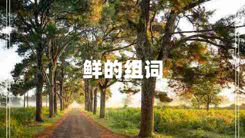 鲜的组词