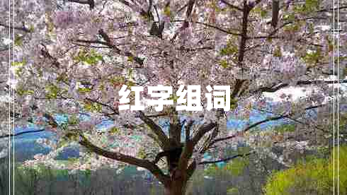 红字组词