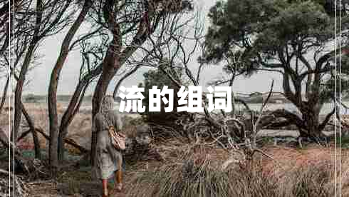 流的组词