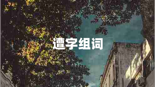 遭字组词