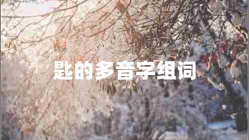 匙的多音字组词