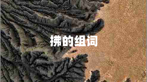 拂的组词