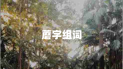 蘑字组词