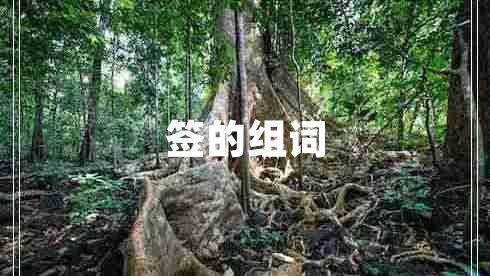 签的组词