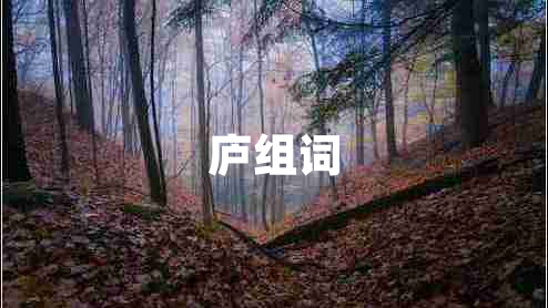 庐组词 庐组词