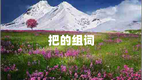 把的组词