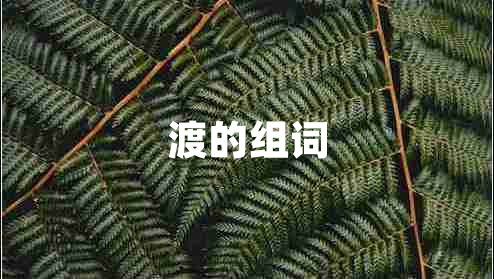 渡的组词