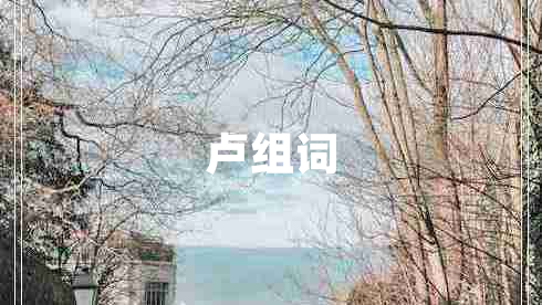 卢组词