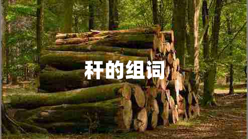秆的组词