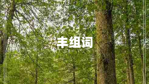 丰组词