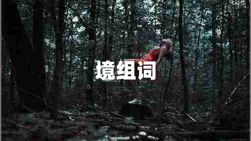 境组词
