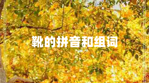 靴的拼音和组词
