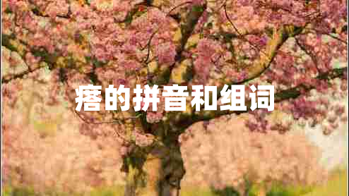 瘩的拼音和组词