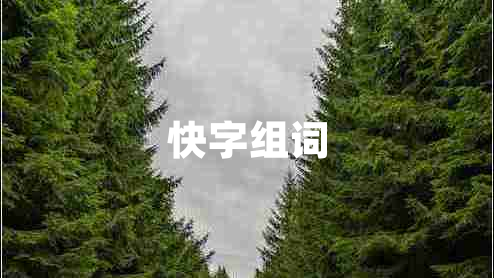 快字组词