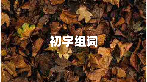 初字组词 初字组词