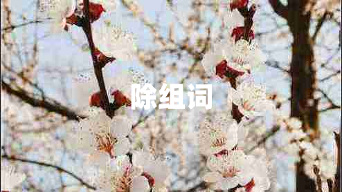除组词