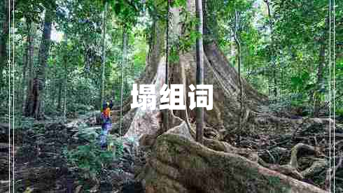 塌组词