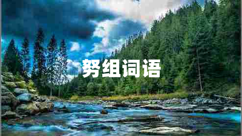 努组词语 努组词语