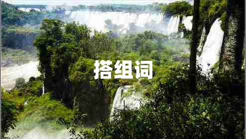 搭组词