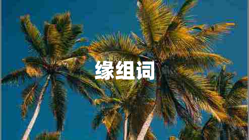 缘组词