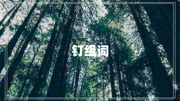 钉组词
