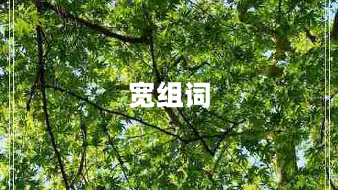 宽组词