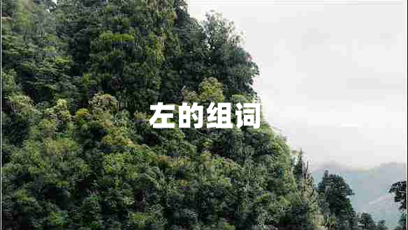 左的组词