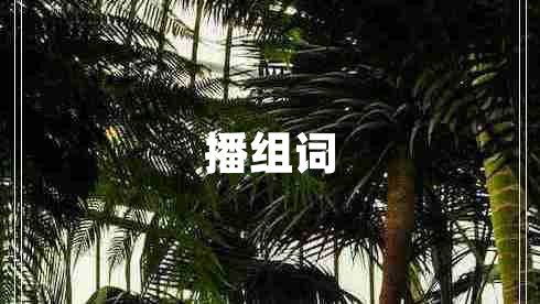 播组词