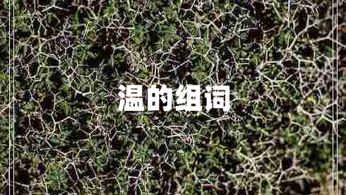 温的组词